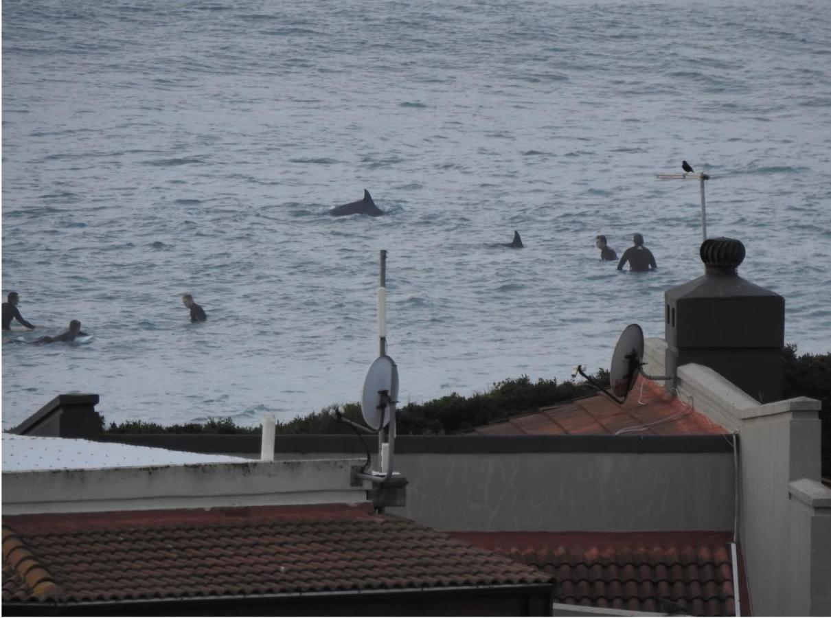 Surfstar At Mimosa Jeffreys Bay Apartment Luaran gambar