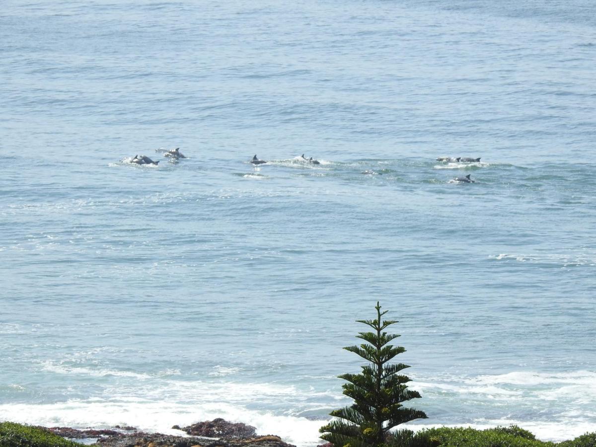 Surfstar At Mimosa Jeffreys Bay Apartment Luaran gambar